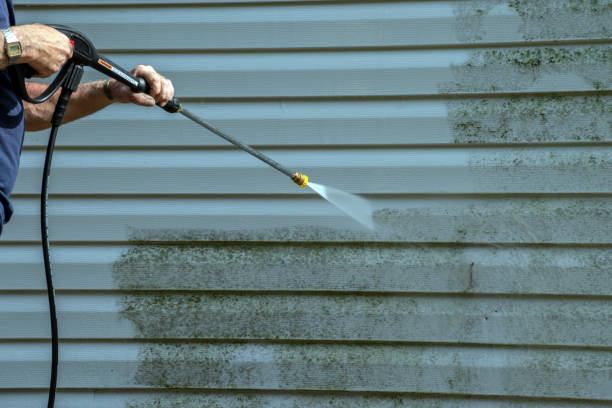 Best Affordable Pressure Washing  in Poncha Springs, CO