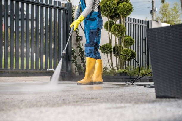 Best Roof Pressure Washing  in Poncha Springs, CO