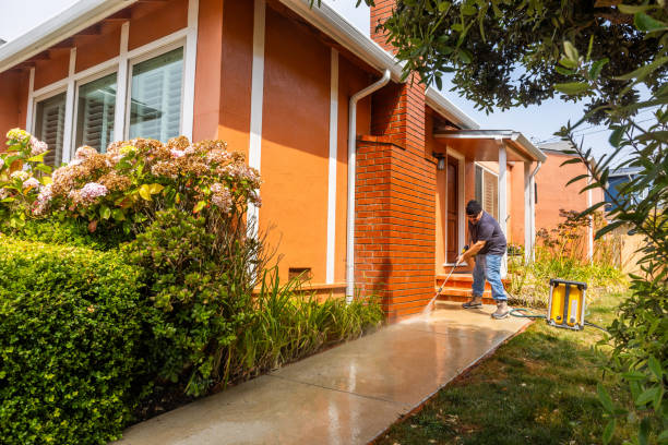 Best Roof Pressure Washing  in Poncha Springs, CO